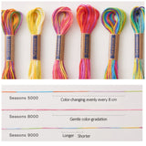 COSMO Seasons Embroidery Floss (9000 series)