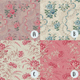 ‘Constance’ by Luccello
