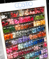 COSMO Embroidery Thread/Floss ( 200-299 )