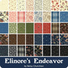 ‘Elinores Endeavor’ By Betsy Chutchian