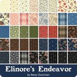 ‘Elinores Endeavor’ By Betsy Chutchian